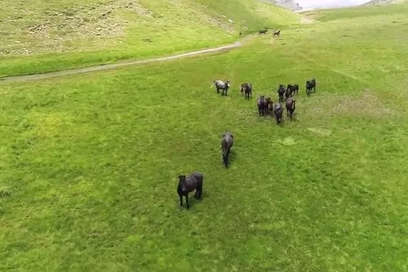 Δύο υπέροχα βίντεο από τους μαθητές του 2ου Λυκείου Βούλας!