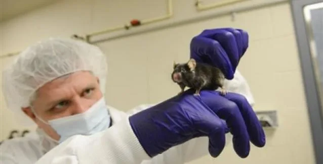 Μελέτη αθωώνει τα λιπαρά και δείχνει ότι συνδέονται με τη μακροζωία