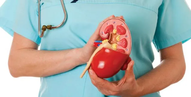 Προσοχή: Τα σημάδια που δείχνουν νεφρική ανεπάρκεια