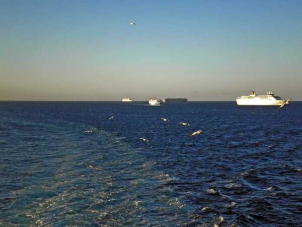 Επιστήμονες: Πέντε έως δέκα χρόνια χρειάζονται για να καθαριστεί ο Σαρωνικός