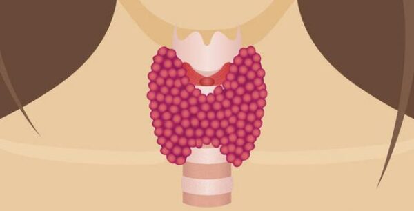 Υγεία θυρεοειδούς: Ποιους διατροφικούς κανόνες πρέπει να τηρείτε