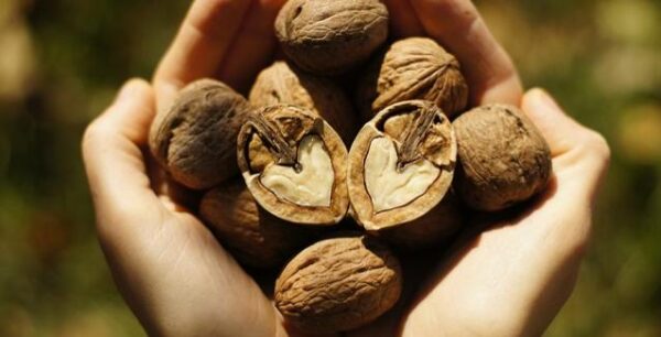 Προστατευθείτε από τον διαβήτη με τη δύναμη των ξηρών καρπών