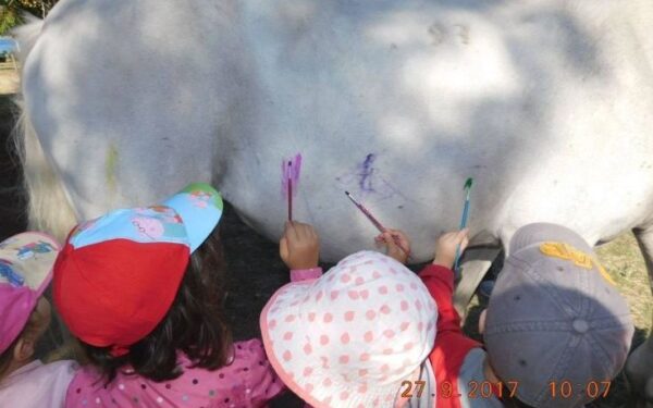 Μήνυση στον παιδικό σταθμό που έβαλε παιδάκια να ζωγραφίσουν πάνω σε άλογο