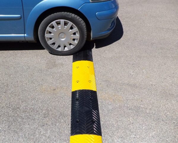 Τι θα πάθεις αν οδηγείς γρήγορα και περάσεις από 100 σαμαράκια; (Bίντεο)