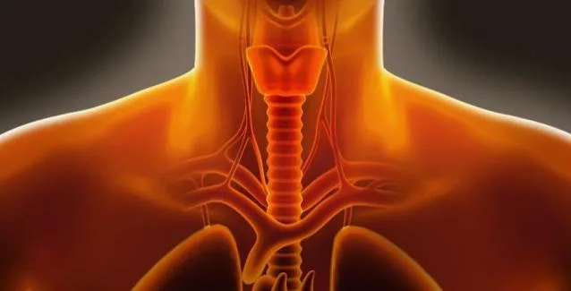 Λόξιγκας: Πώς σταματάει στο λεπτό