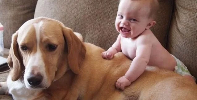 Παιδικό άσθμα: Τι ισχύει με τα κατοικίδια