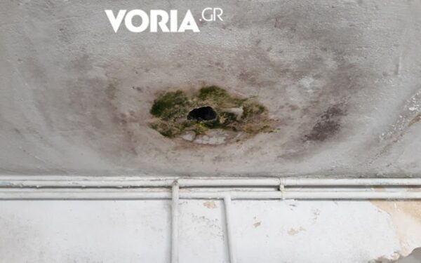 Φοιτητικές εστίες του ΑΠΘ: Μούχλα και διάλυση – Σταμάτησε και η σίτιση