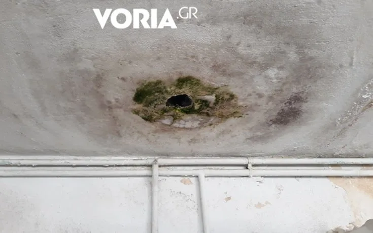 Φοιτητικές εστίες του ΑΠΘ: Μούχλα και διάλυση – Σταμάτησε και η σίτιση