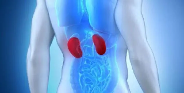 Πέτρες στα νεφρά: Ποια είναι η κατάλληλη διατροφή;