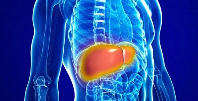 Επιβαρυμένο συκώτι; Μάθετε πώς γίνεται αποτοξίνωση σε 30 μέρες!
