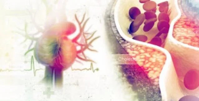 Τι είναι η χοληστερόλη και πώς την χρησιμοποιεί ο οργανισμός