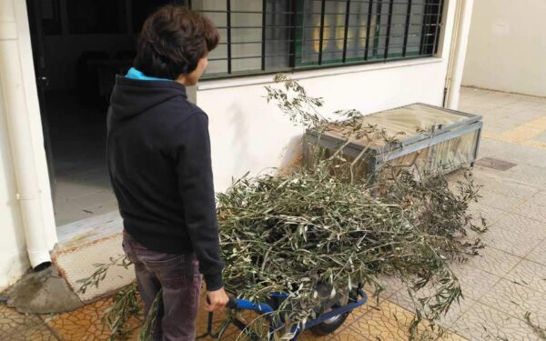 Γη που θεραπεύει τον αυτισμό