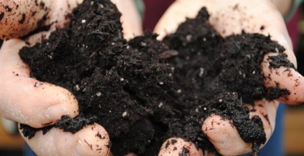 Τι ζει πιο συχνά στο χώμα και στη σκόνη που πατάμε; Τι αποκαλύπτουν οι επιστήμονες