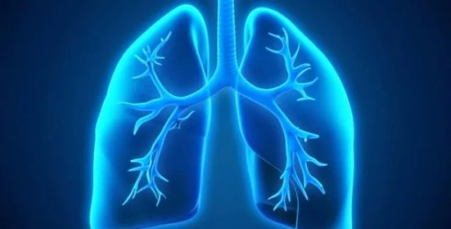 Οι 7 τροφές που καθαρίζουν τα πνευμόνια