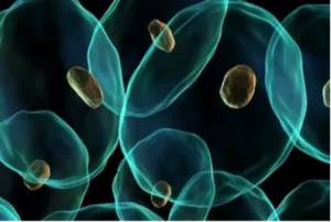 Ανακαλύφθηκαν δύο γιγάντιοι ιοί με τα περισσότερα γονίδια για δημιουργία πρωτεϊνών