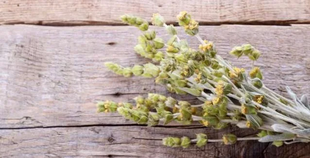 10 λόγοι για να πίνετε καθημερινά τσάι του βουνού