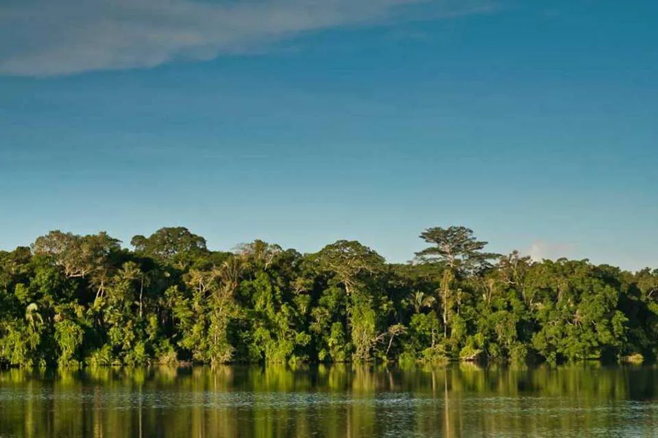 Ανακαλύφθηκαν χαμένα χωριά της προκολομβιανής περιόδου στον Αμαζόνιο
