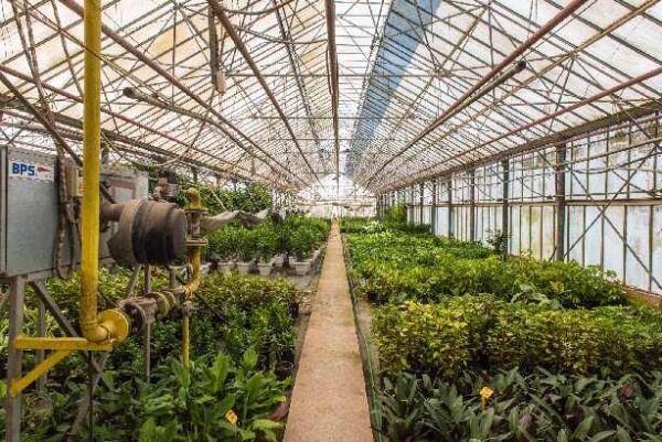 «Γεωμετρίες»:Το Γεωπονικό Πανεπιστήμιο επανασυστήνεται στους Αθηναίους