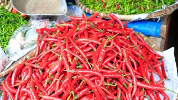 Έφαγε την πιο καυτερή πιπεριά τσίλι στον κόσμο και κατέληξε στα επείγοντα