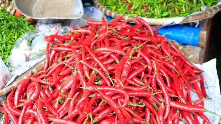 Έφαγε την πιο καυτερή πιπεριά τσίλι στον κόσμο και κατέληξε στα επείγοντα