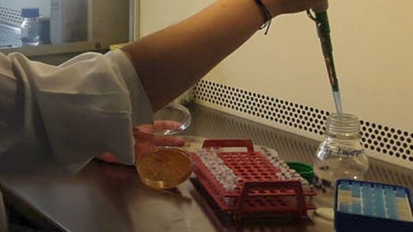 Σύστημα τεχνητής νοημοσύνης καθοδηγεί τους χημικούς