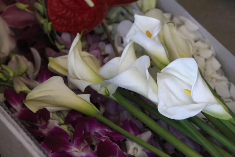 Γιατί είναι η ιερότερη ημέρα της Ορθοδοξίας η Μεγάλη Παρασκευή