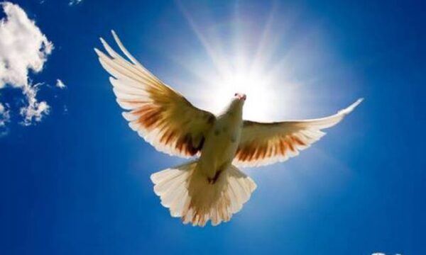 Αγίου Πνεύματος 2019: Πότε πέφτει