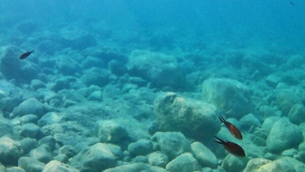 Tavolara: Το μικρότερο βασίλειο του κόσμου βρίσκεται στη Μεσόγειο -Ο βασιλιάς του είναι… ψαράς! ~ εικόνες