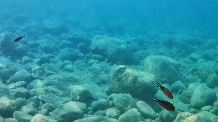 Δημιουργήθηκαν νανορομπότ που απομακρύνουν τη ρύπανση από το νερό