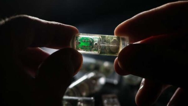 Η πρώτη βιο-ηλεκτρονική κάψουλα που καταπίνεται και ανιχνεύει την αιμορραγία στο στομάχι