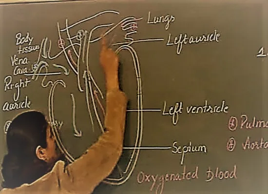 Αποσπάσεις εκπαιδευτικών σε Ιερές Μητροπόλεις για το σχολικό έτος 2018-19