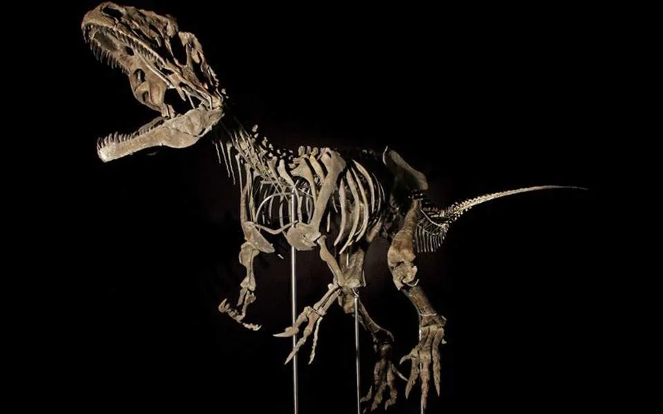Ανακαλύφθηκε γιγαντιαίος δεινόσαυρος ηλικίας μεγαλύτερης των 200 εκ. ετών
