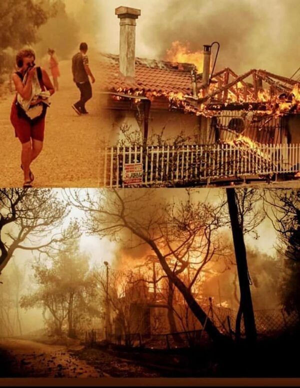 Φωτιά στο Μάτι Aγνοούμενοι – Ηλεκτρονική βάση για την αναζήτησή τους