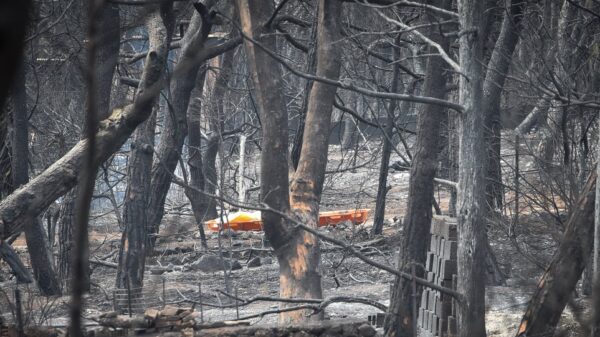 Επιχορήγηση του δήμου Μαραθώνα για την καταβολή επιδομάτων στους πυρόπληκτους