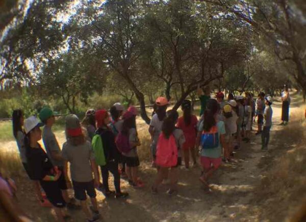 Θερινό σχολείο στο πάρκο Αντώνης Τρίτσης για τα παιδιά που δεν θα πάνε διακοπές