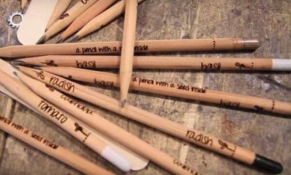 Χορήγηση δημόσιων εγγράφων για τον προγραμματισμό του σχολείου στο σύλλογο γονέων και κηδεμόνων