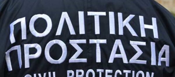 Εθνική Υπηρεσία Διαχείρισης Εκτάκτων Αναγκών: Οργάνωση, διάρθρωση και λειτουργία