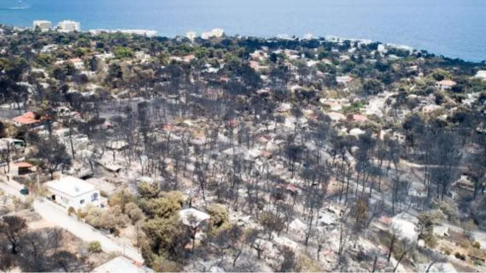 Μάτι: Πώς θα αναγεννηθεί από τις στάχτες της – Αναγκαία η εισφορά σε γή (video)