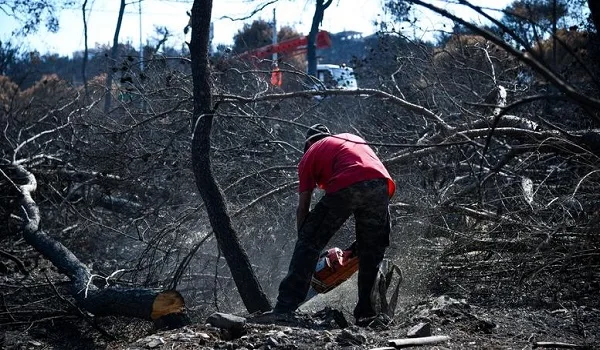 Μάτι: Διορίζονται στο Δημόσιο συγγενείς θυμάτων