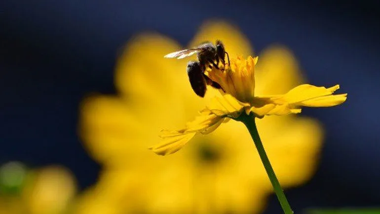 Ξεκινά το Σάββατο η άνοιξη με την εαρινή ισημερία