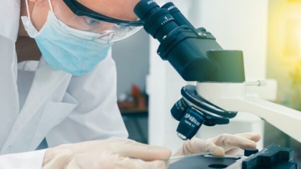 Τυφλά πειραματόζωα ξαναβρήκαν ένα μέρος από το φως τους χάρη σε νέα μέθοδο