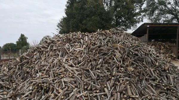 Ποιο είδος ξύλου θα επιλέξουμε για το τζάκι μας;