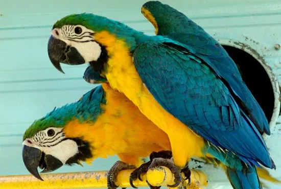 Το απ’ έξω πέθανε – Ζήτω η κριτική σκέψη!