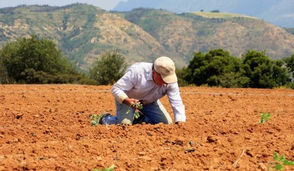 Γιατί καθυστερούν οι πληρωμές από τον ΟΠΕΚΕΠΕ