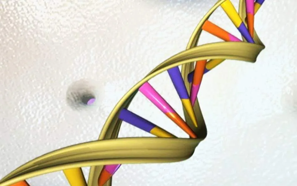 Ενα βήμα πιο κοντά στην προγεννητική θεραπεία ασθενειών