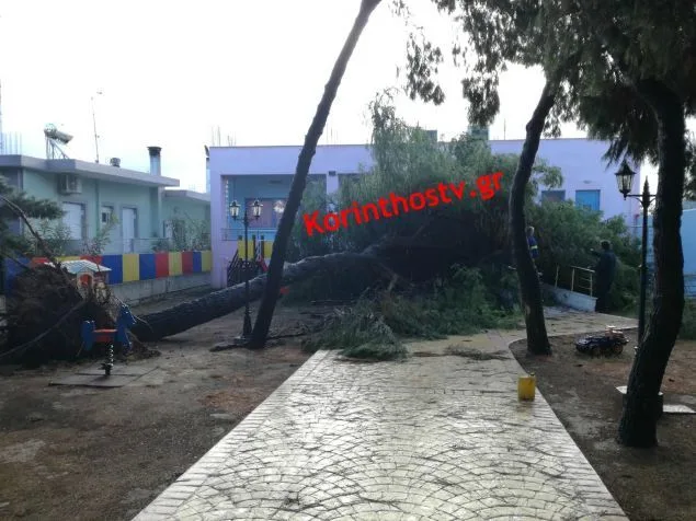Κόρινθος – Δέντρο ξεριζώθηκε και έπεσε στον κήπο νηπιαγωγείου