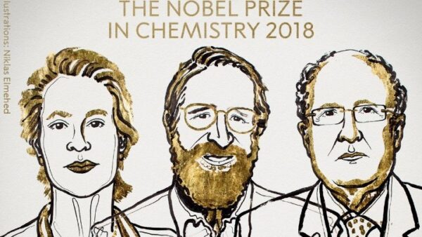 Σε τρεις επιστήμονες το Νόμπελ Χημείας