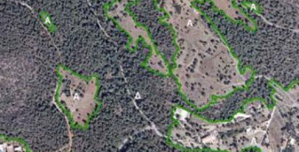 Δασικοί χάρτες: Πώς θα σώσετε χωράφια και επιδοτήσεις