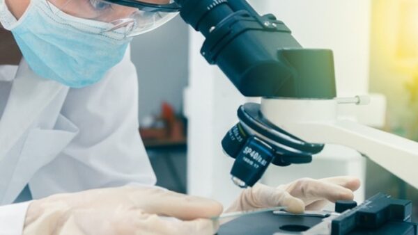 Επιστήμονες τροποποίησαν ποντίκια ώστε να μπορούν να βλέπουν το αόρατο υπέρυθρο φως