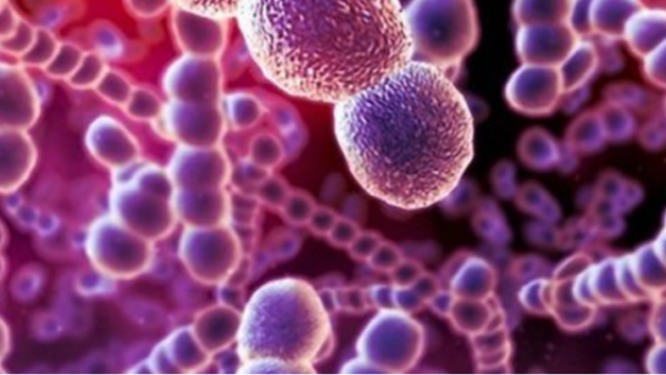 Τα ανθεκτικά βακτήρια κοστίζουν ακριβά σε ζωές και σε δαπάνες